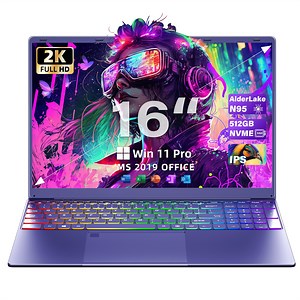 Rumtuk 16 inch Purple Laptop, LPDDR5 12G RAM, 512GB NVMe SSD, 2K FHD IPS, Win 11 Pro/Office 2019, Celeron N95 CPU , Color Backlit KB, Finger Print, USB3.0, WIFI, Gaming PC Notebook for Work Study