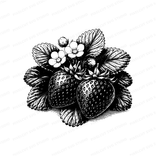 Strawberry SVG Cut File - Botanical Clipart PNG Digital Download for Cricut - Etsy