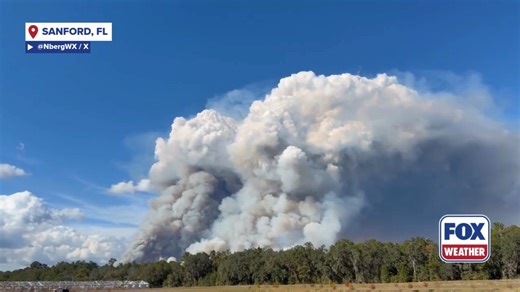 Huge pyrocumulonimbus clouds were spotted in Sanford, Florida, on Friday. These are fire-triggered thunderstorms generated when intense heat from a fire initiates a large thunderstorm that carries smoke into the stratosphere, according to the NOAA. #florida #clouds #fire #southeast #FoxWeather | FOX Weather