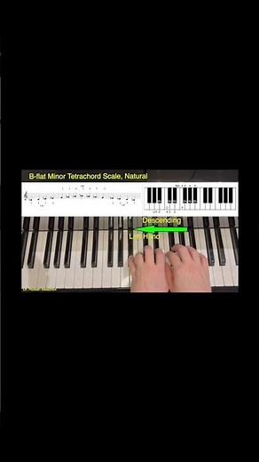B-flat Minor Tetrachord Scales #piano #pianotutorial #tutorial #pianolessons #music #pianomusic