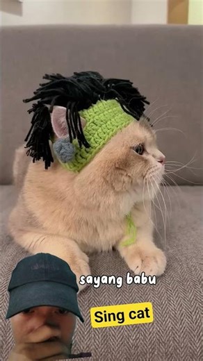 sing song cat #cat #catshorts #catfunny
