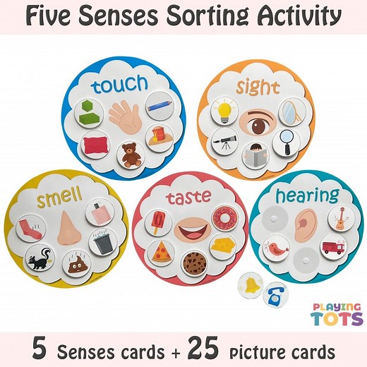 Five Senses Sorting Activity Printable, 5 Senses Sorting, Homeschool Resource, Busy Bags Activity, Toddlers and Preschoolers - Etsy