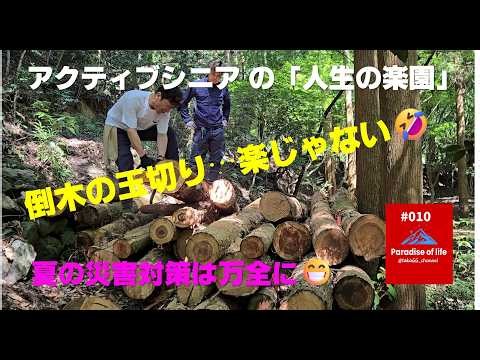 ♯010【シニアライフ】梅雨入り前に倒木の玉切りを！薪割りが大変かも！！