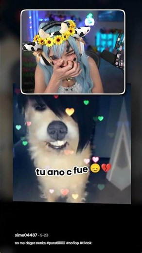 My humor is broken #staryuuki #streamer