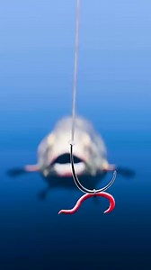 "How to Hook a Bass Perfectly – Simple Trick Every Beginner Must Know!" #FishingTips #BassFishing #FishingHack #BeginnerFishing #CatchAndRelease #FishingLife #OutdoorAdventure #ViralFishing #FishingTutorial #HookSetTips | Journey To The Universe