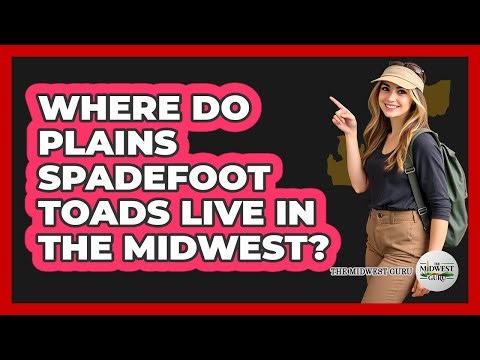 Where Do Plains Spadefoot Toads Live In The Midwest?