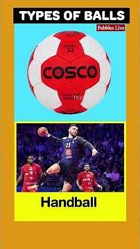 Different Types of Sports Balls Names in English and Pictures I #viralshorts