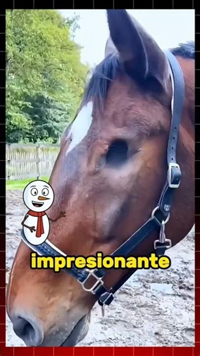 Horses without eyes 🥺 #animal