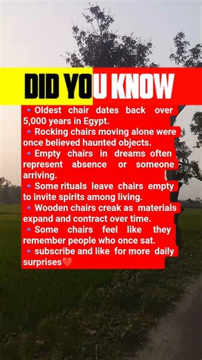 Chairs hold more than weight… they carry stories and presence.