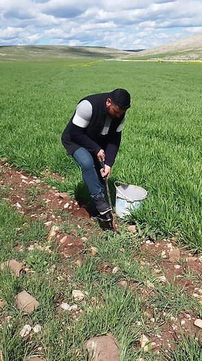 Gardening Tips: Planting Greenery in Rural Settings