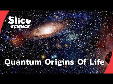 How Quantum Physics And Chaos Theory May Explain Life | SLICE SCIENCE | FULL DOC