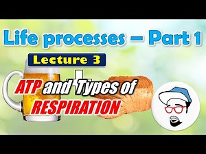 ATP, Anaerobic Respiration || Life processes in Living Organisms Part 1 Class 10 SSC