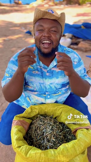 Exploring Marine Ecosystem in Kenya: Dried Fish and More