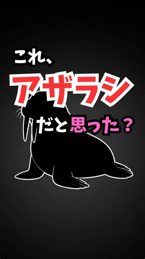 これ分かる？海の生き物シルエットクイズ！