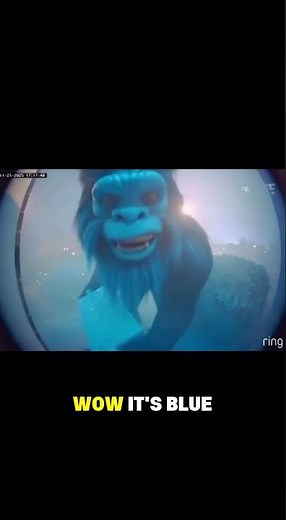 What Happens When You Open a Mystery Box?