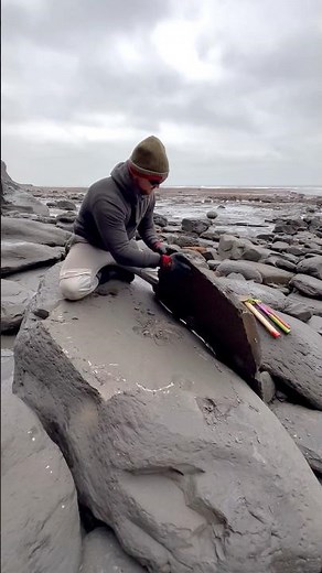 One more fossil saved from the sea 🌅 Thanks for supporting our page! 🦕⚒️
