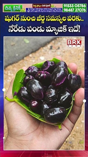 Jamun Magic: From Diabetes Control to Better Digestion || BRK News