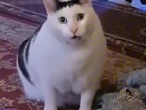 盘点那些离谱瞬间255