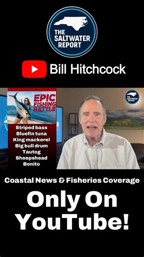 These Fish Are Moving In FAST #fishing #trending