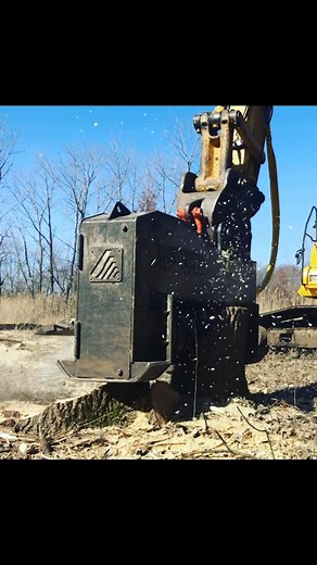 5K views · 29 reactions | Unwanted trees grinding your gears? Call Central Tree (847) 989-9048 #TreeService #treeremoval #CentralTree #fyp #viral | Central Tree, LLC | Facebook