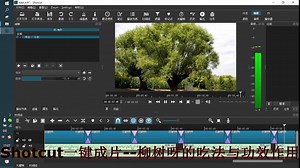 35、学习Shotcut视频编辑【一键成片】--柳树呀