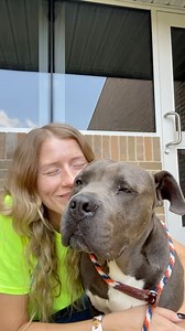 26K views · 1.4K reactions | ADOPT, DON’T SHOP! 諾 Adopting a...