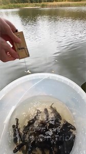 Mausefallen-Angel-Hack: Fische im Handumdrehen fangen! 🐠🪤 | 5-Minuten Tricks