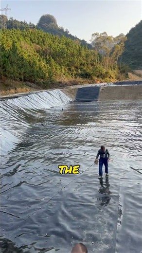 They built what’s known as the world’s biggest swi