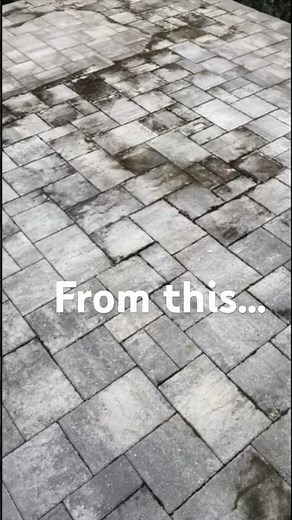 DIY Paver Cleaning | Mildew and Mold Removal | 30 Seconds Outdoor Cleaner | #diy #pavers #cleaning