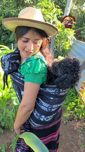 Asi es como la Chulita carga a simbalu | Videos Chulita