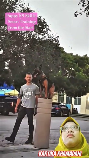 Puppy K9 Skills | Smart Training from the Start #smartdog #germanshepherd #pets #malinois #dogcoach