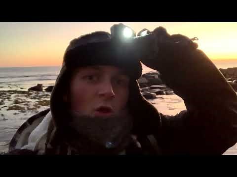 RAREST Discoveries Of 2021 - Fossil Hunting In England