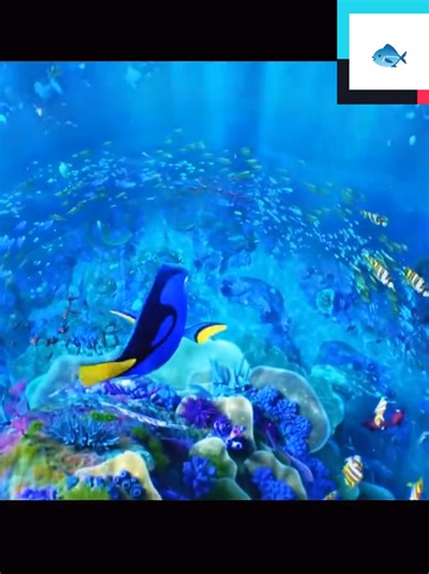 Dory's Adventure Continues: Part 13