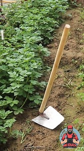 6.7K views · 39 reactions | DIY Garden Tools #fbreels #diy #AmaZing #gardendesign #agriculture | Mr Knack & DIY | Facebook