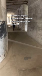 3M views · 96K reactions | He’s so dramatic I swear  he is always playing these games with me . | Sadie Bridges | Facebook