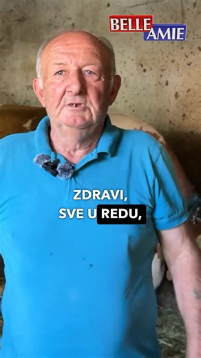 Krava Beba iz Lepaje Otelila Četiri Teleta – Retko Prirodno Čudo | belami.rs