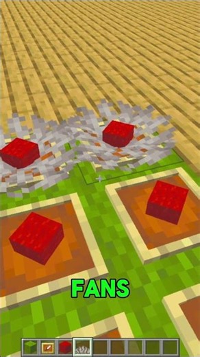 COOL MINECRAFT CARPET #minecraft #minecraftbeauty #minecraftbuilding #shorts #minecrafttutorial