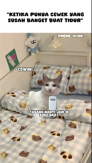 Kumpulan Video Kelakuan Kucing Lucu