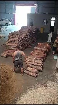 Automatic Wood Shaving Machine | High Efficiency | Sawdust & Bedding Production