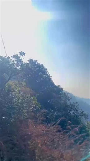 ⚔️ (@prashant_cxy)’s videos with original sound - whyyoukillme?