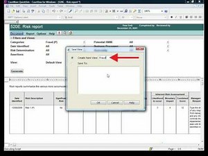 CaseWare Audit: Risk Report