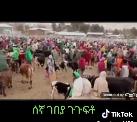 samira said (@samira.said82)’s videos with original sound - samira said