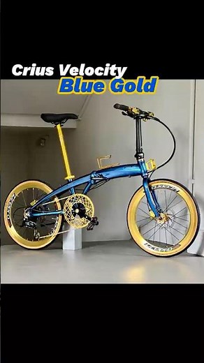 🐠 Crius Velocity 22" Shimano 9 Gears Folding Bike With Gold Hydraulic Brakes And Ceramic BB