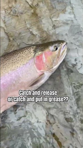 Lake Erie Steelhead on the Fly – Release It or Eat It?