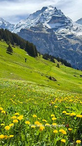 Switzerland in springtime🇨🇭 | Patchara Photography