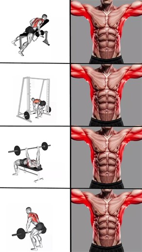 4 Best Exercises to Build Lats Quickly