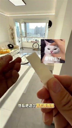 No Ordinary Tape for Lightning-Proof Picture Hanging! Pro Tips Inside