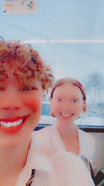 Understanding Canine Menstruation in Dogs