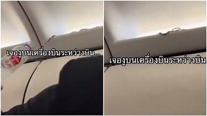 Live snake found slithering in Thai Air Asia flight. Video is viral