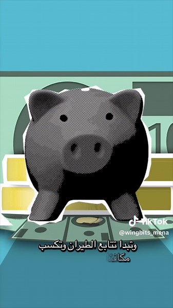 Wingbits MENA på TikTok